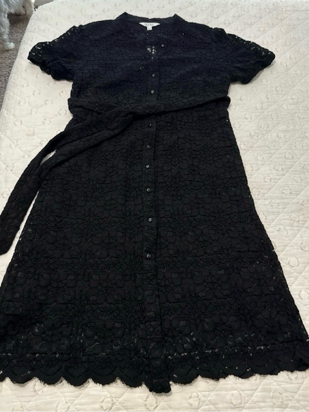 Black Lace Midi Dress button front with Belt